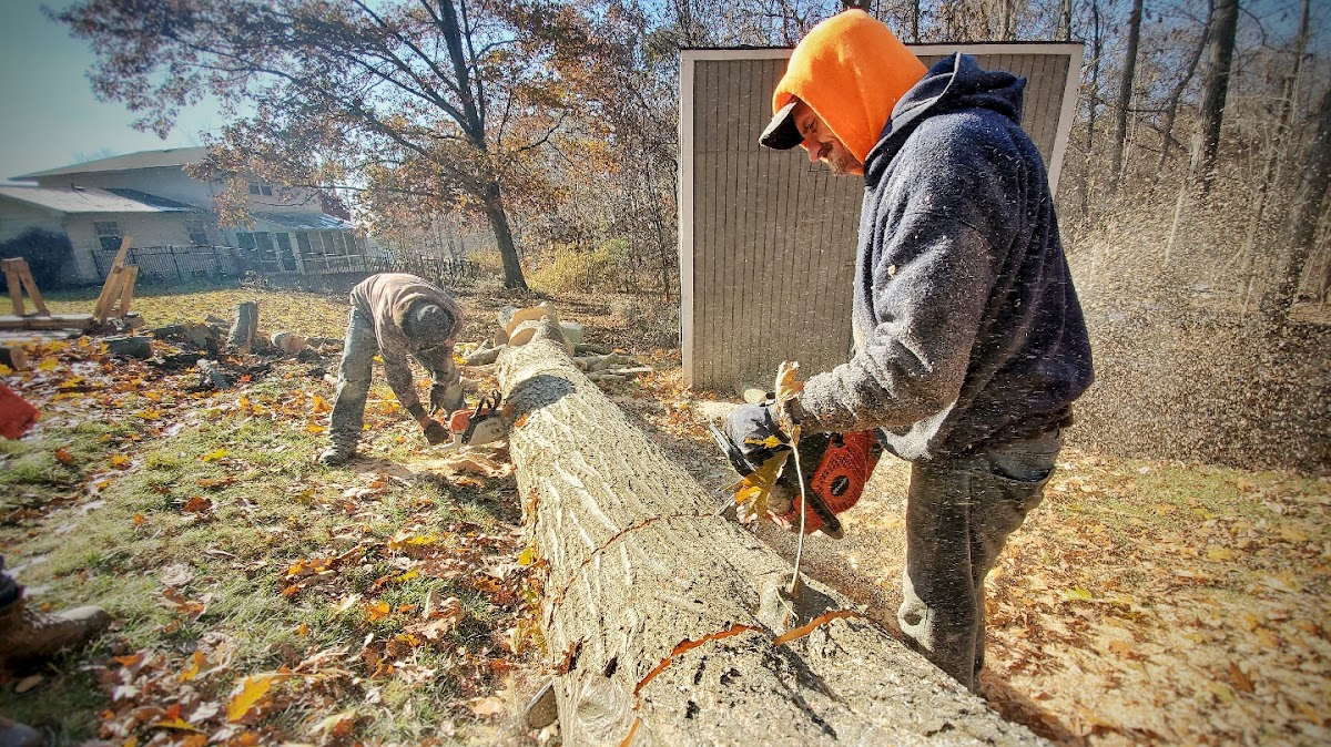 Kevin's Tree Service crew cutting down a large fallen tree trunk